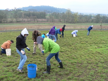 Restoration on Our Farms