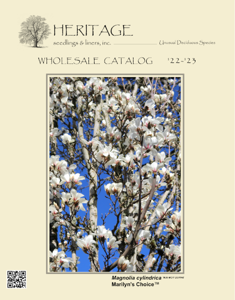 Image of the front page of the 2022-2023 Heritage Seedlings and Liners wholesale catalog, featuring a picture of the new upright magnolia called Marylin's Choice