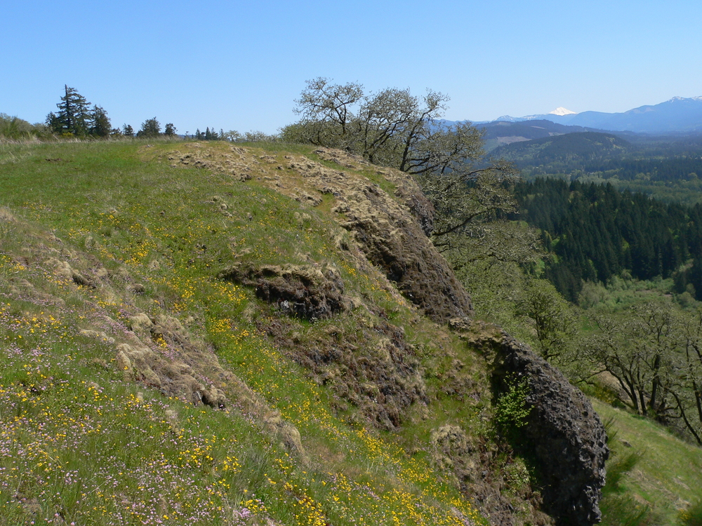 Herbaceous, Rocky Balds and Bluffs