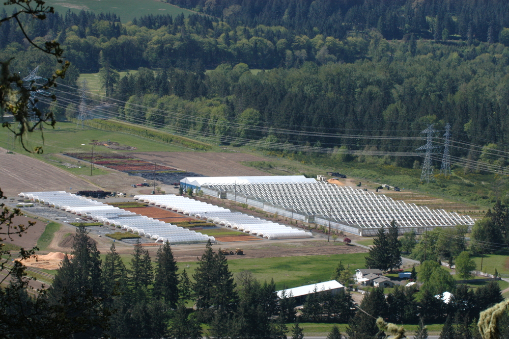 Santiam Farm Container Complex