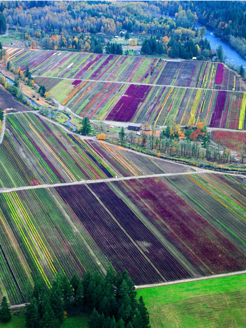 Santiam River Farm