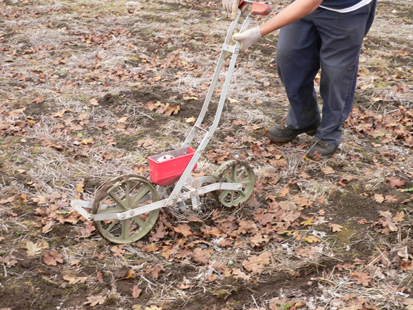 Garden Seeder