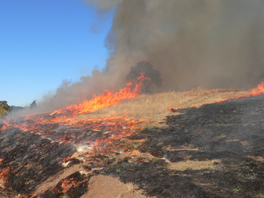 Prescribed Prairie Burn Jefferson Farm