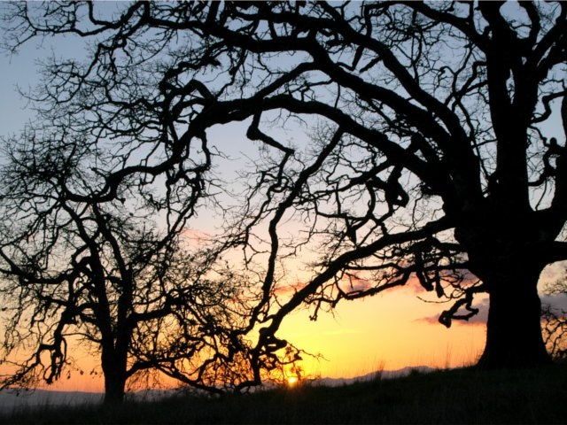 Sunset at Jefferson Farm