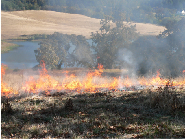 Restoration Burn